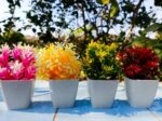 Pack of 4 Mini Planters | Artificial Decoration mini Plants - Image 2