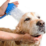 Unique & Comfortable Massager Shower Cleaning Tool For Pet - Image 5