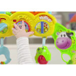 Barnyard Pals Activity Gym & Playmats for Kids