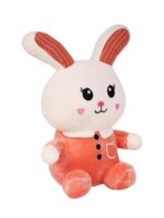 Cute & Adorable Bunny RABBIT LONG EAR | Fluffy & Soft Stuffed Animal Plush Toy For Kids - 25 CM (Random color) - Image 5