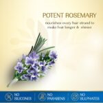 Herbs India 7 Seed Hair Oil with Rosemary - 280 ml | Nourishing Herbal Oil for Lush, Healthy Hair - Image 2