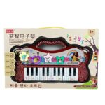 Electronic Organ Educational Series Keyboard Piano Toy - Image 5