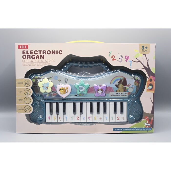 Electronic Organ Educational Series Keyboard Piano Toy - Image 6