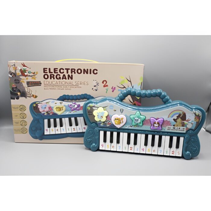 Electronic Organ Educational Series Keyboard Piano Toy - Image 7