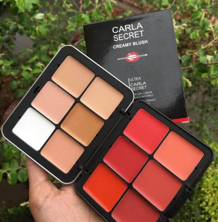 Trendy Carla Secret Cream Concealer & Blush Pallet - Image 1