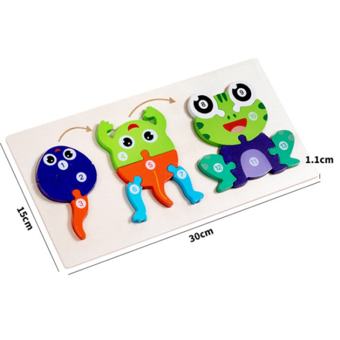 Early Learning Preschool Educational Game Life Cycle Wooden Jigsaw Puzzle Set Toy for Kids - Image 7