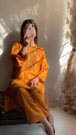 2 pcs Stitched suit  Pocket Sequence Embroidery - Image 9