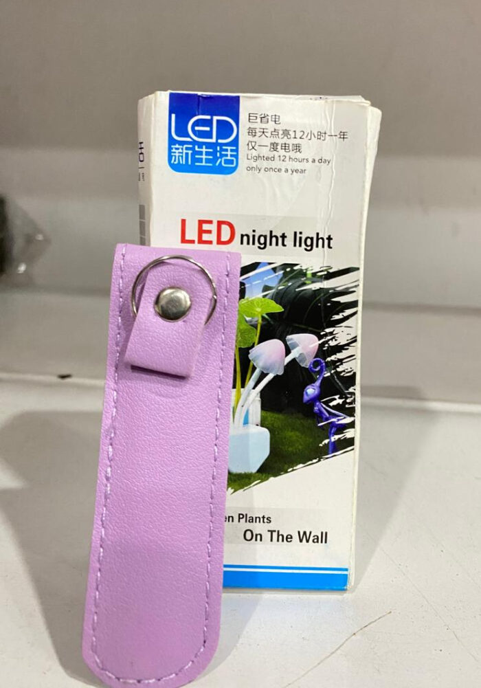 Big deal pack of 2 - Ear Wax Cleaner & Mushroom Led Night Light (Random color) - Image 2