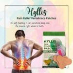 HYLLIS Pain Relief Patches - 10 Neck Pain Patches / Safe & Natural Neck & Back Pain Relief Products - Image 4