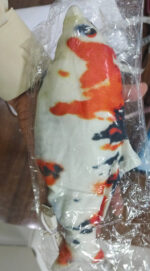 Rechargeable Flopping fish toys for babies and toddlers. (random fish ) - Image 4