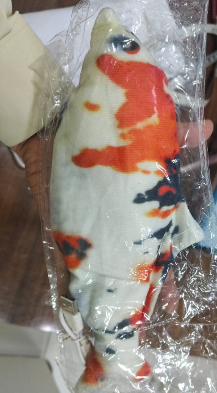 Rechargeable Flopping fish toys for babies and toddlers. (random fish ) - Image 4