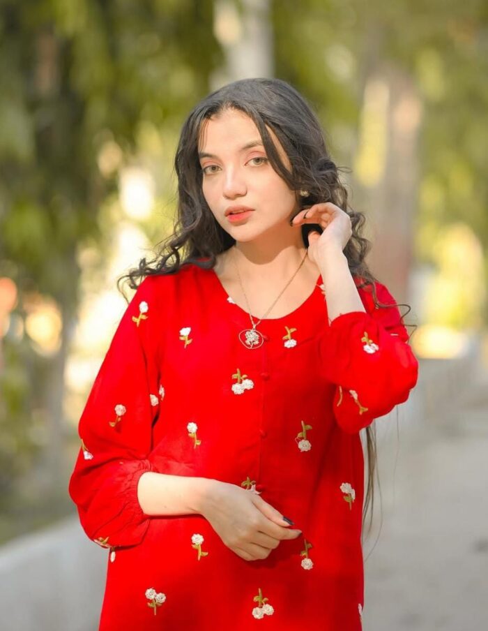 2 Pcs Petal Embroidery Stitched  suit Party Wear For Women (red) Medium - Image 2