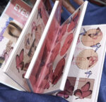 Mocallure 4 In 1 Eyeshadow Palette Book/  Eyeshadow Palette  Blush and eyeshadow Palette - Image 3