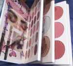 Mocallure 4 In 1 Eyeshadow Palette Book/  Eyeshadow Palette  Blush and eyeshadow Palette - Image 2
