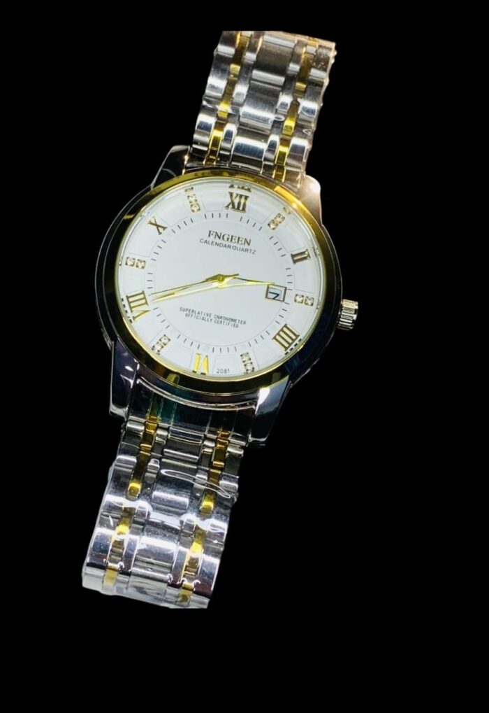FNGEEN 2081 Stainless Steel Stylish Men Quartz Watch Two tone Chain style strap - Image 2