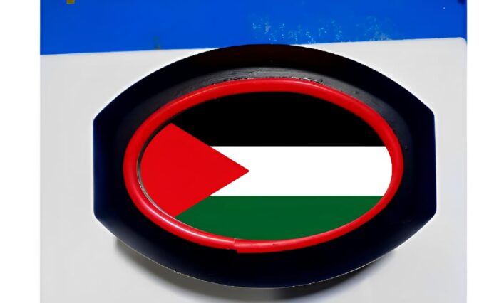 Palestine Backlight – Premium Rear Light for 125cc Bikes | Best Quality Back Light For 125cc Motorcycle - Image 4