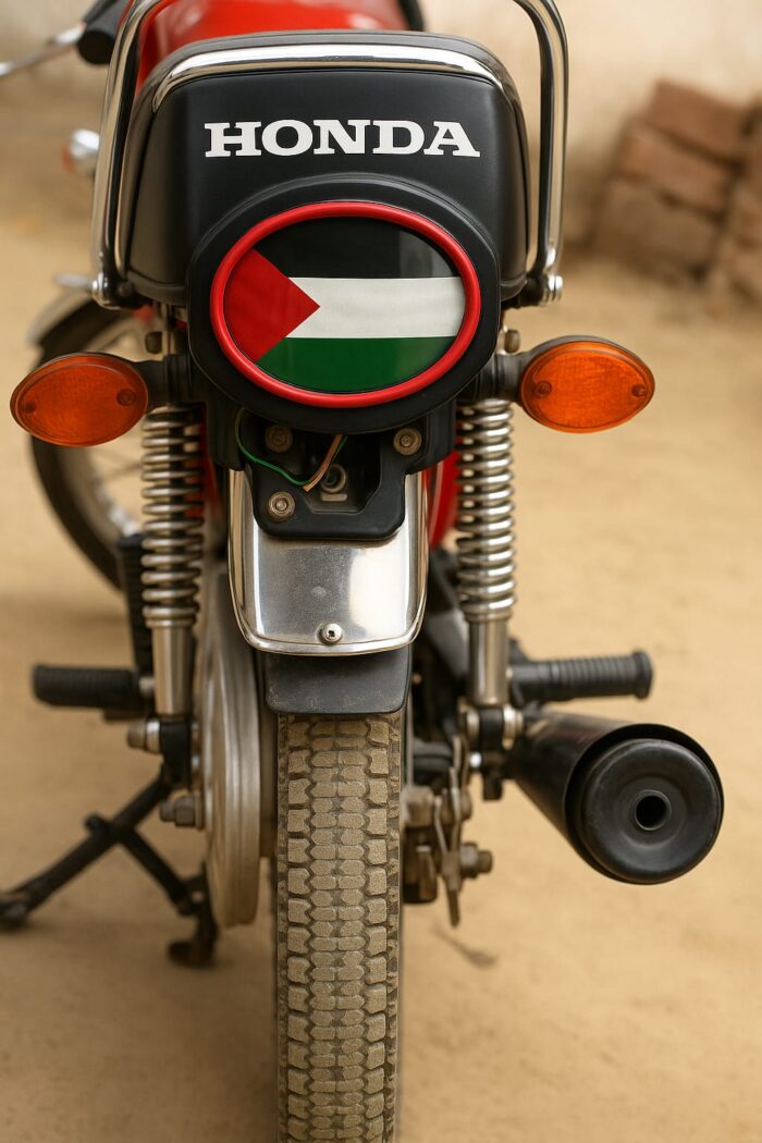 Palestine Backlight – Premium Rear Light for 125cc Bikes | Best Quality Back Light For 125cc Motorcycle - Image 3