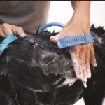 Unique & Comfortable Massager Shower Cleaning Tool For Pet - Image 10