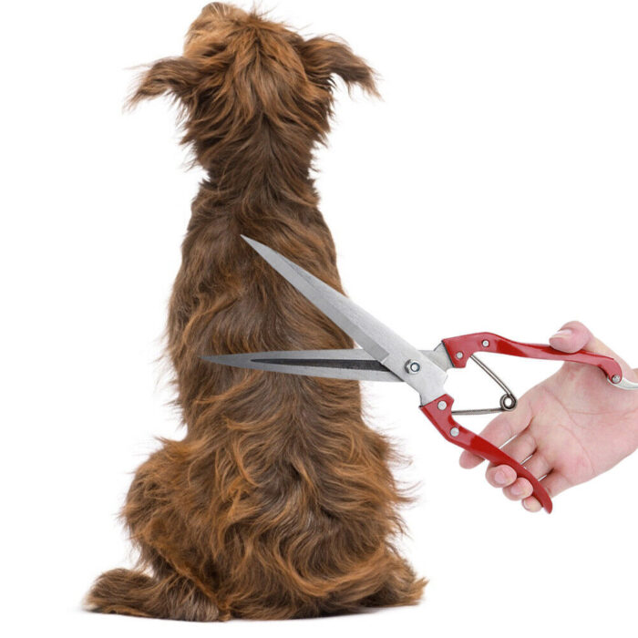 Multi-Functional Wool Shear Scissor With Non-Slip Handle And High Elastic Detachable Spring - Image 3